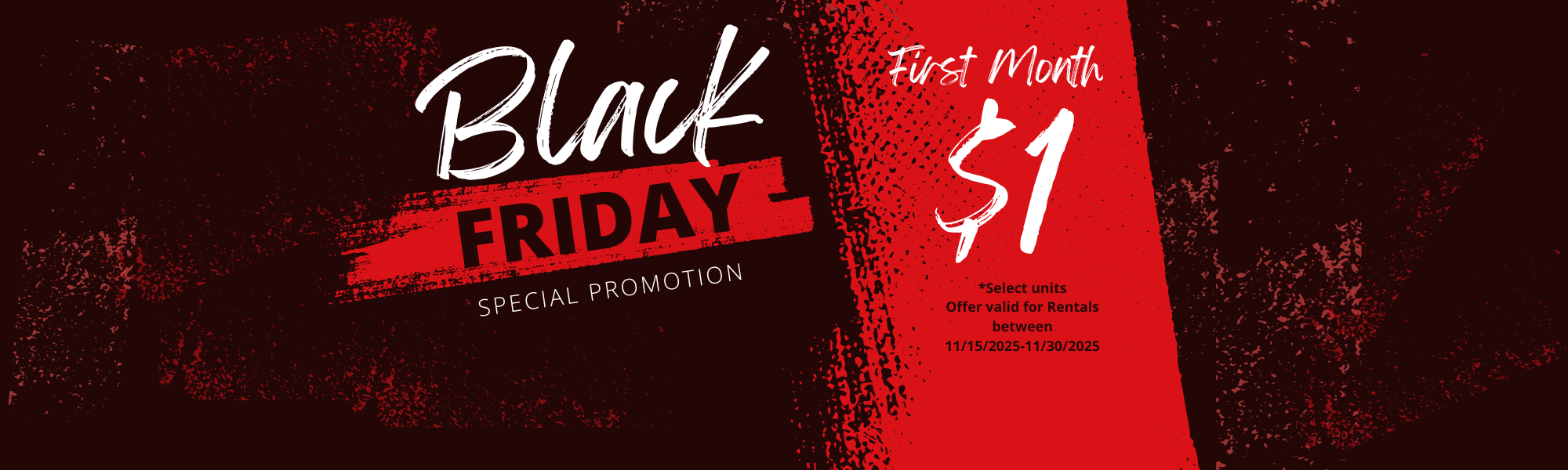 Black Friday Special